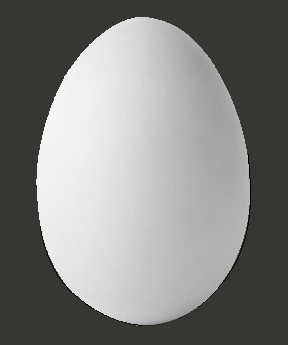 picture of an egg