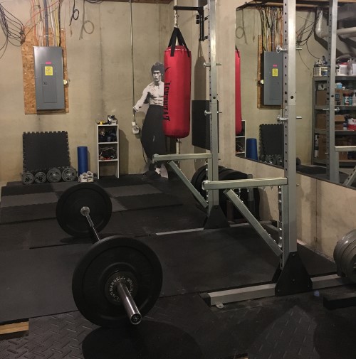 picture of Cats & Kilos basement gym